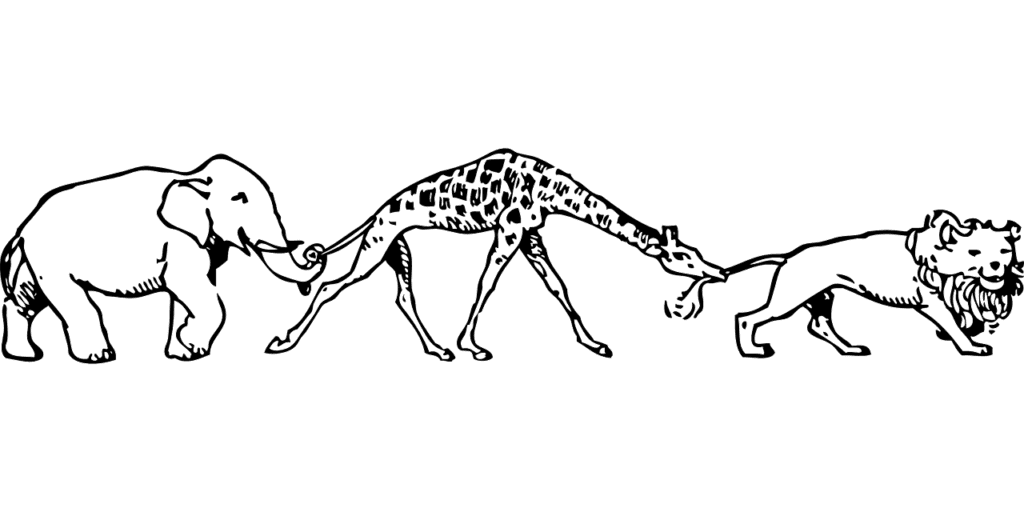 giraffe, elephant, lion-35971.jpg